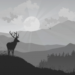 OCTOBER 2021 | WIN ONE OF 3 PARKS CANADA DISCOVERY PASSES