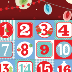 DECEMBER HOLIDAYS - 48 gift cards drawn