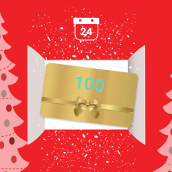 DECEMBER 2020 – LEO ADVENT CALENDAR