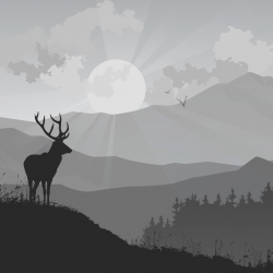OCTOBRE 2021 | TIRAGE DE 3 CARTES D'ENTRÉE DÉCOUVERTE DE PARCS CANADA