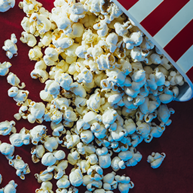 NOVEMBRE- Carte-cadeau Cineplex 20$
