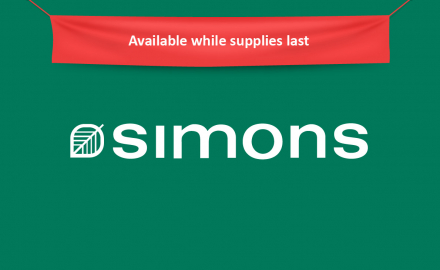 $25 Simons Gift card
